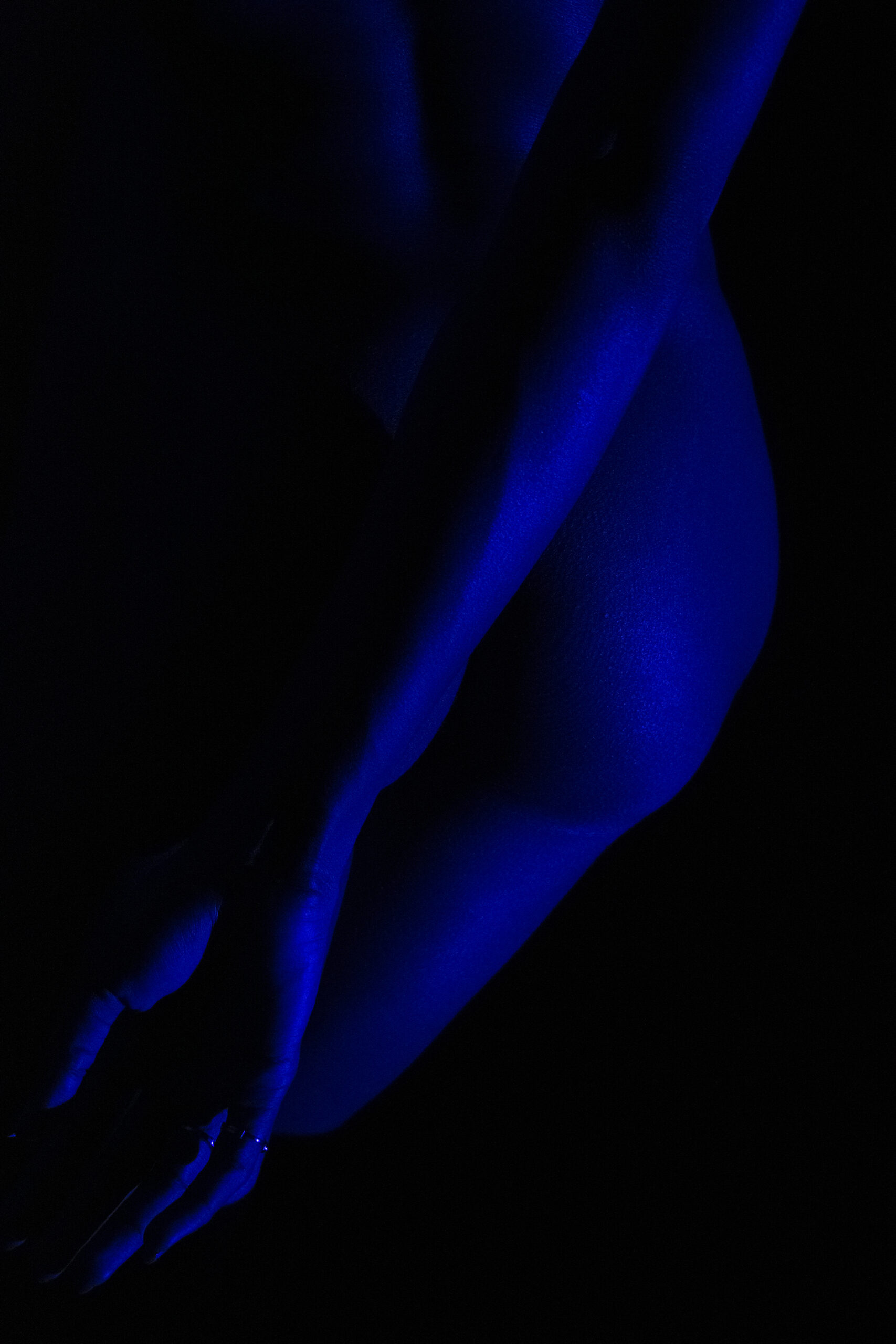 Blue Velvet - by Gregory Jacquelin