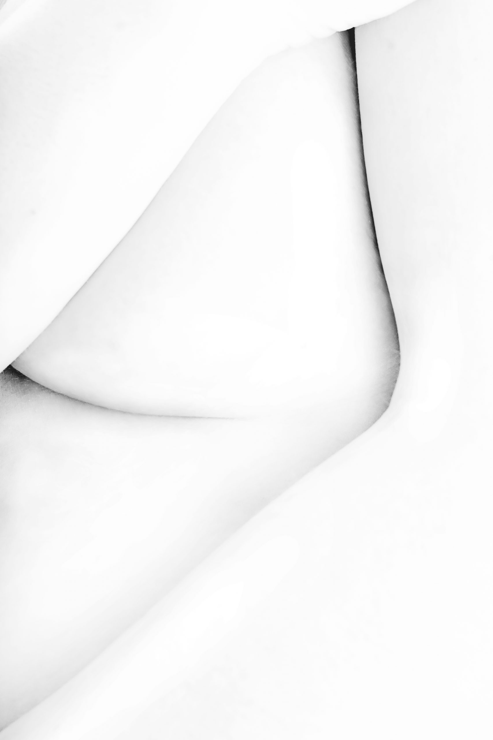 Lines - by Gregory Jacquelin