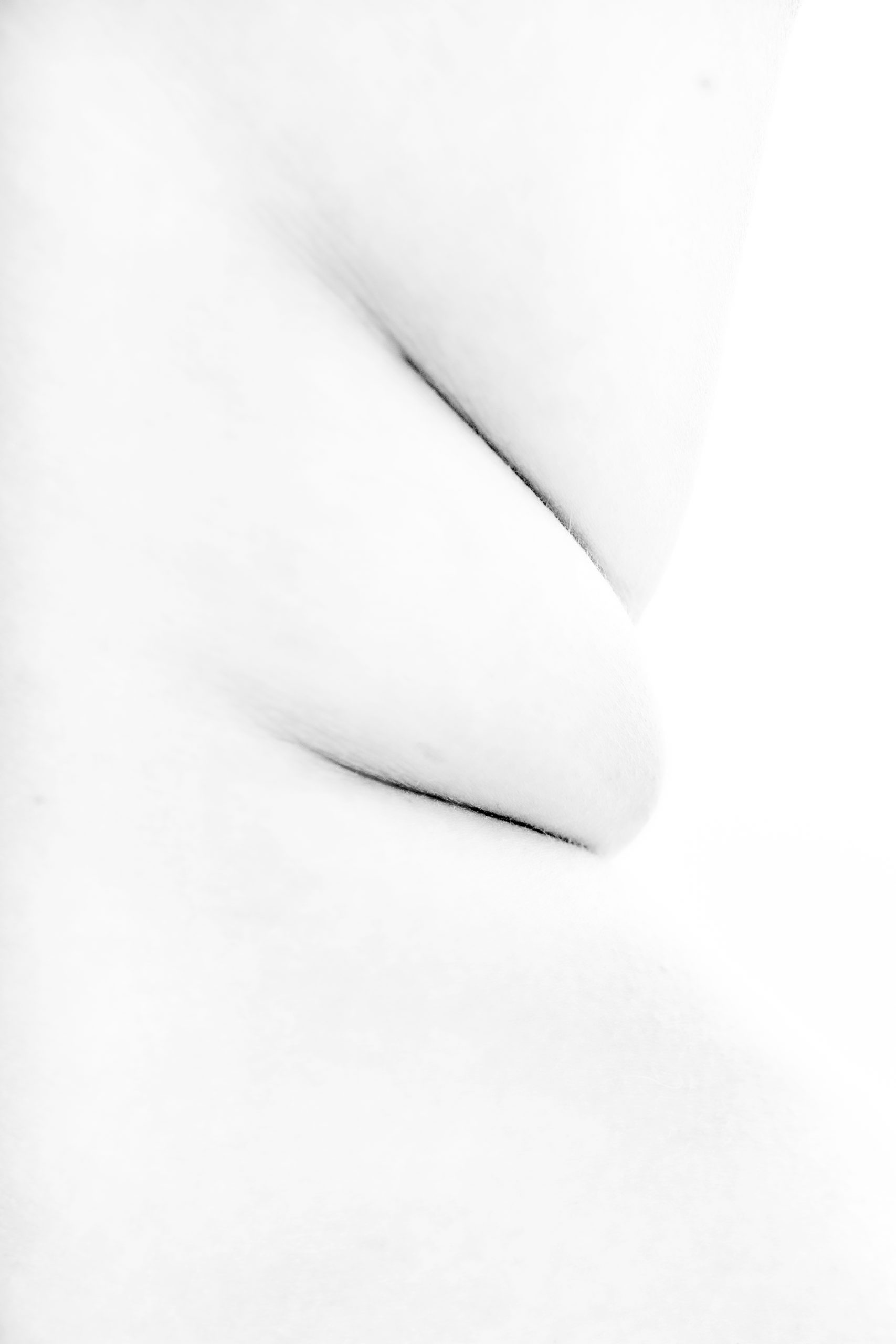 Lines - by Gregory Jacquelin