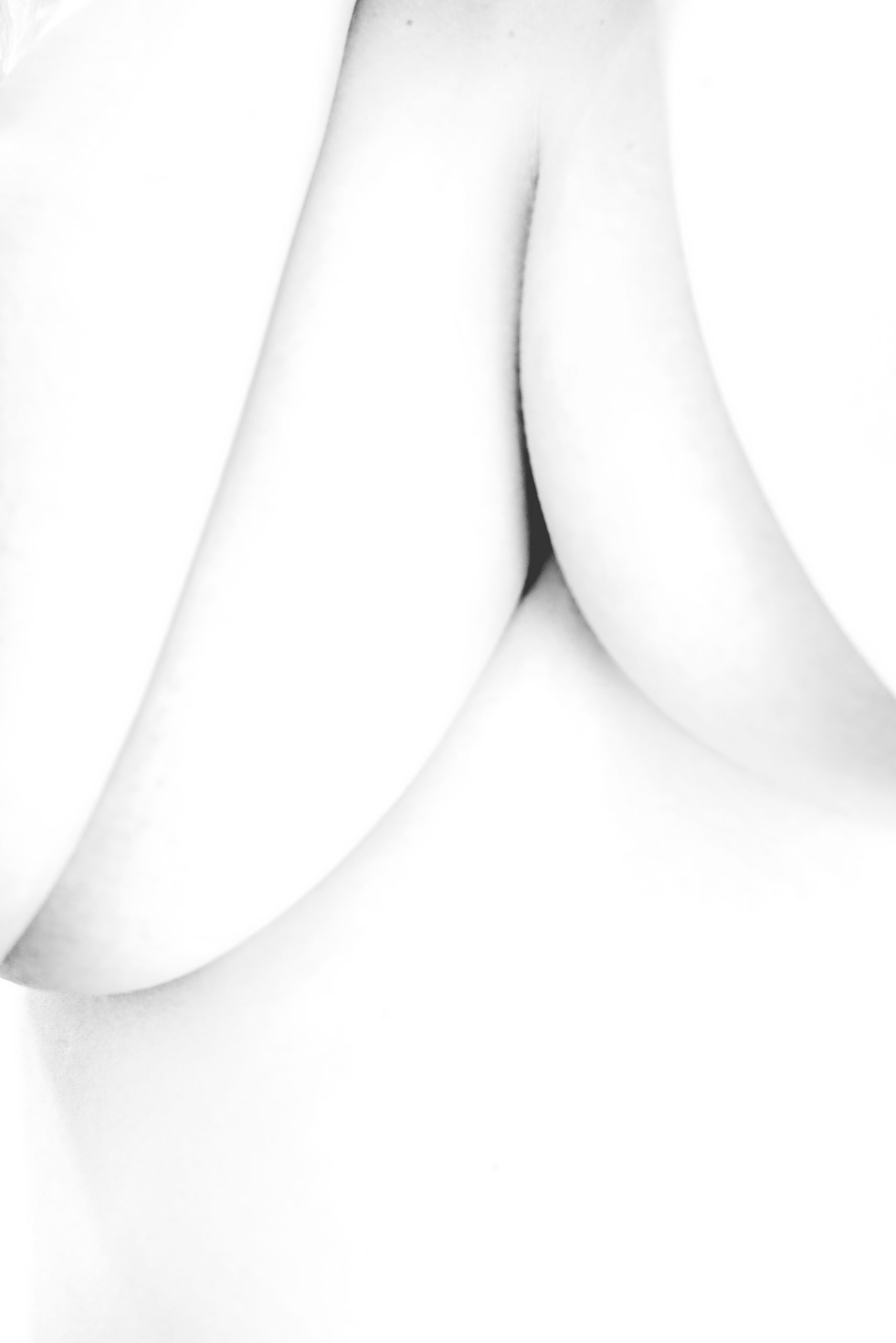 Lines - by Gregory Jacquelin