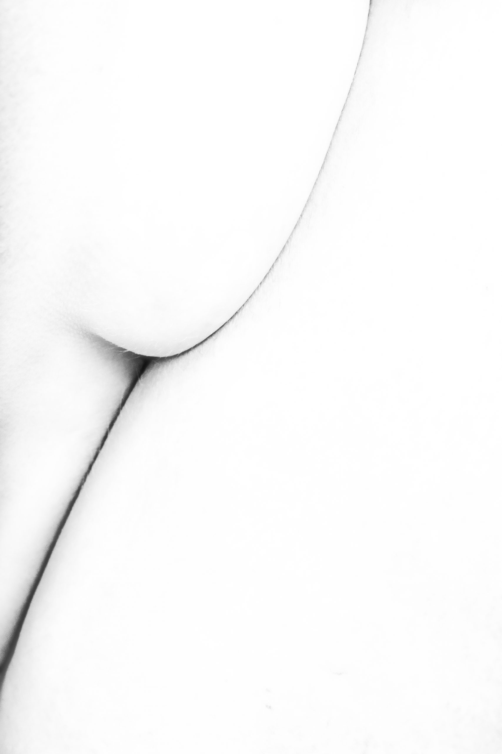 Lines - by Gregory Jacquelin