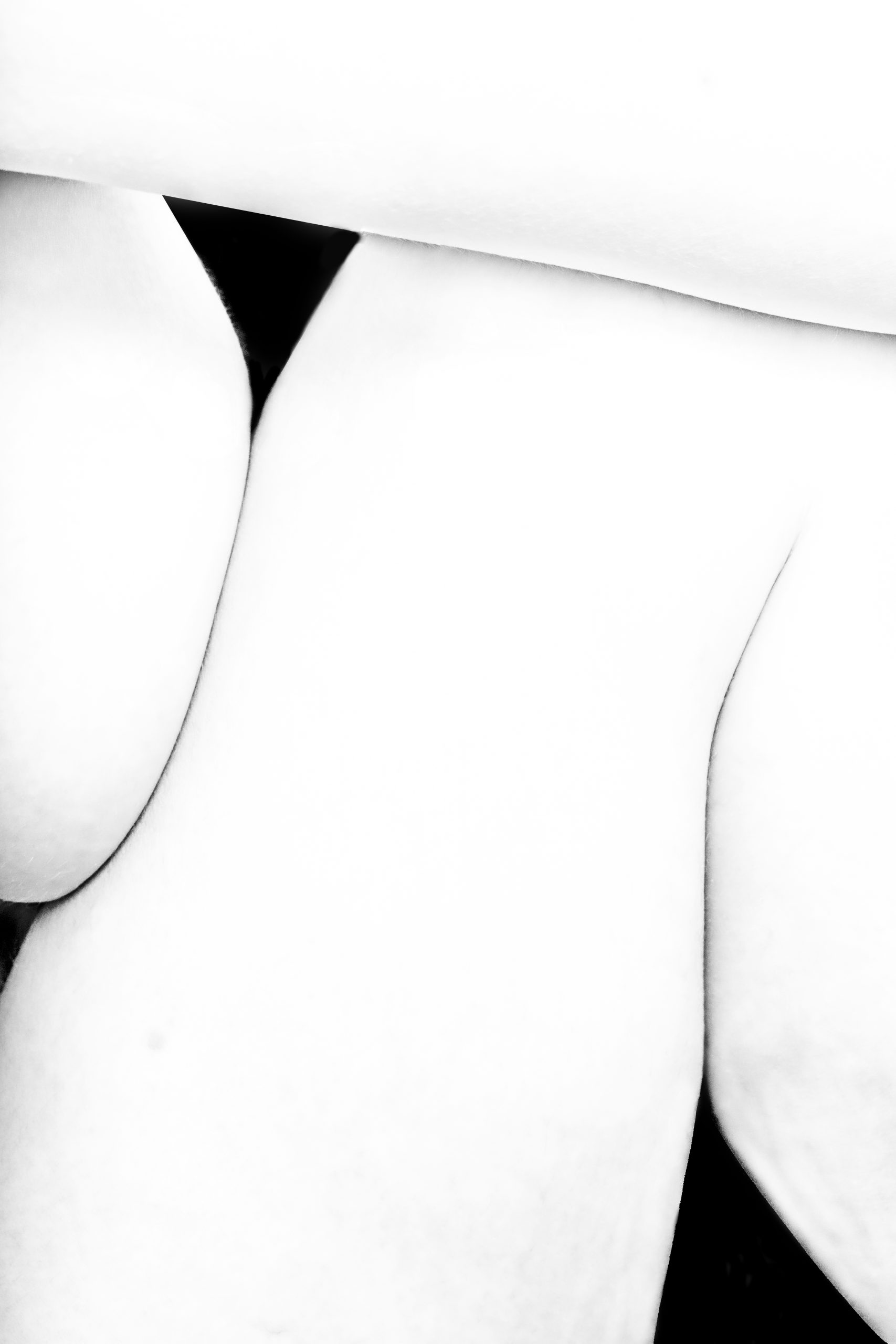 Lines - by Gregory Jacquelin