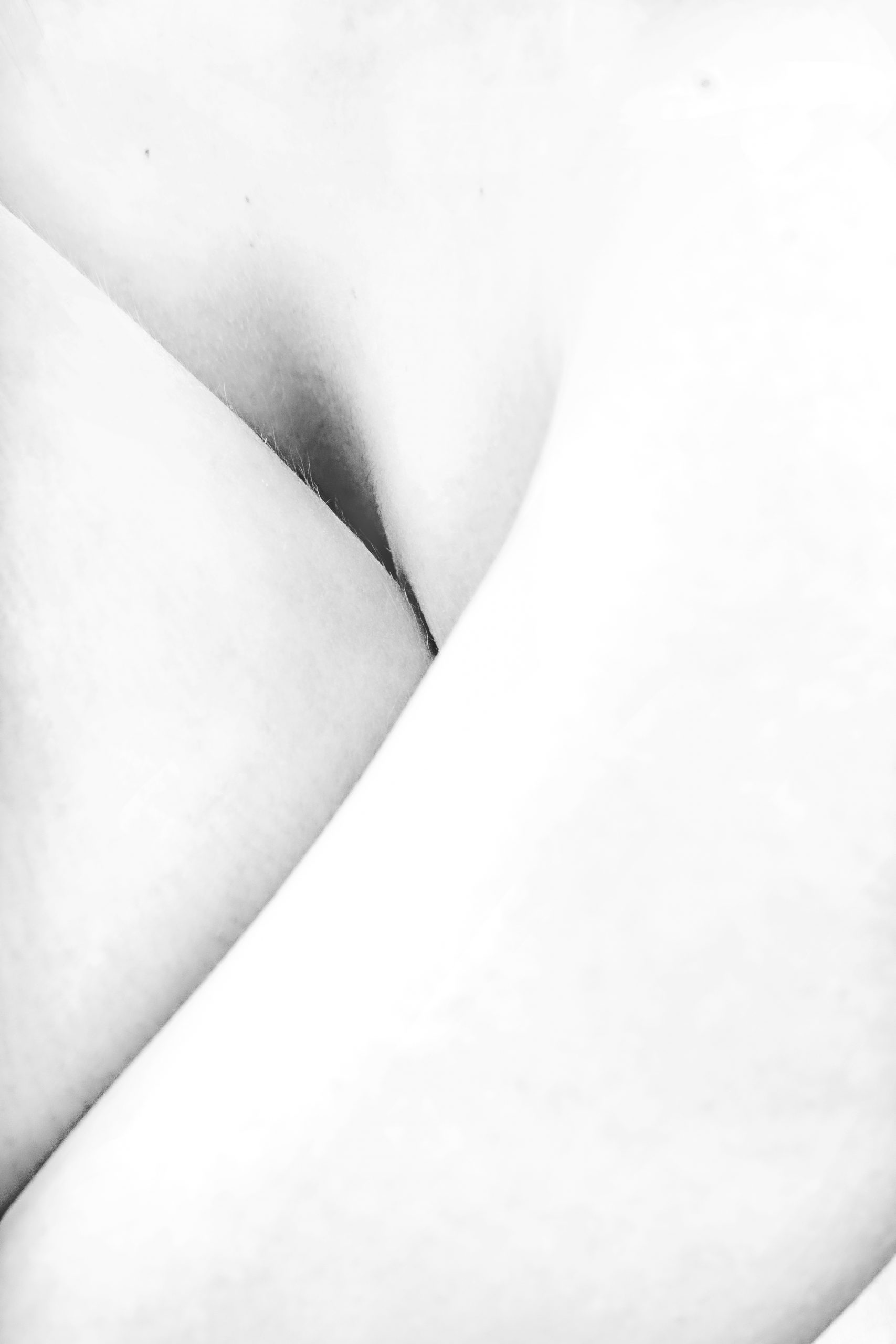 Lines - by Gregory Jacquelin